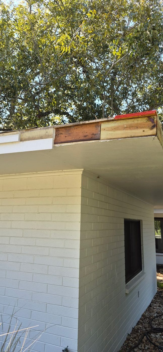 New fascia and perimeter lumber installed along the eave during a roof replacement